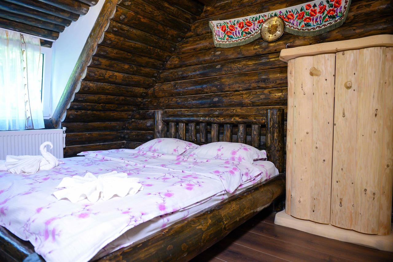Casa Non Nobis Dambovicioara 빌라 외부 사진